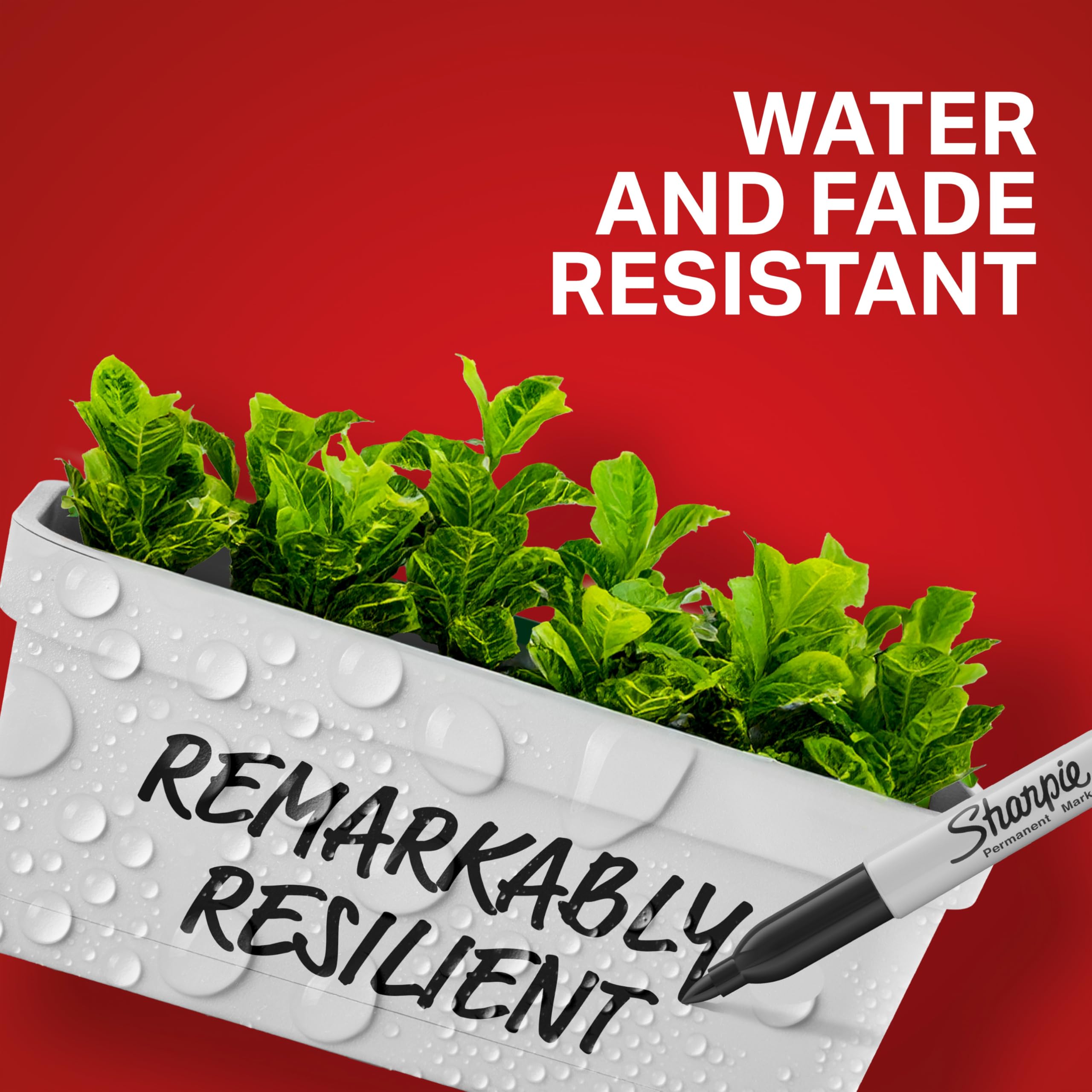 Permanent Markers Variety Pack, Includes Chisel, Fine, and Ultra-Fine Tips